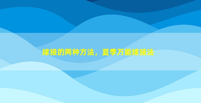 嫁接的两种方法，夏季万能嫁接法