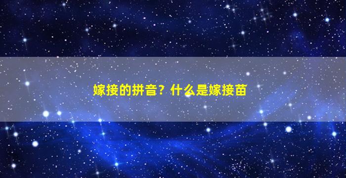 嫁接的拼音？什么是嫁接苗