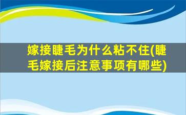 嫁接睫毛为什么粘不住(睫毛嫁接后注意事项有哪些)