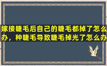 嫁接睫毛后自己的睫毛都掉了怎么办，种睫毛导致睫毛掉光了怎么办