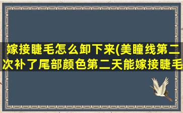 嫁接睫毛怎么卸下来(美瞳线第二次补了尾部颜色第二天能嫁接睫毛嘛)