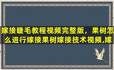 嫁接睫毛教程视频完整版，果树怎么进行嫁接果树嫁接技术视频,嫁接方法图解