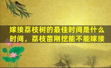 嫁接荔枝树的最佳时间是什么时间，荔枝苗刚挖能不能嫁接