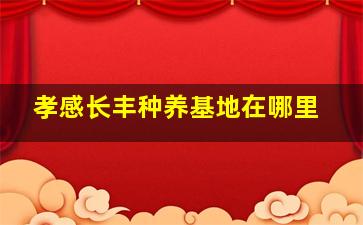 孝感长丰种养基地在哪里