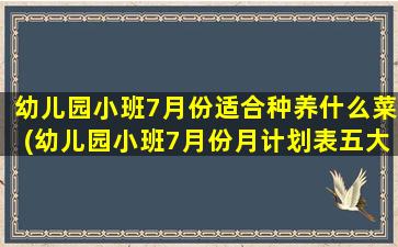 幼儿园小班7月份适合种养什么菜(幼儿园小班7月份月计划表五大领域)