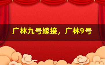 广林九号嫁接，广林9号