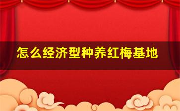 怎么经济型种养红梅基地