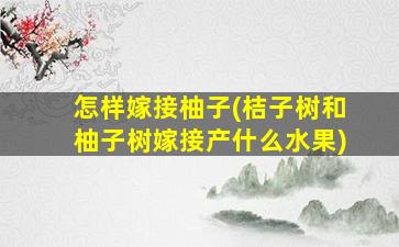 怎样嫁接柚子(桔子树和柚子树嫁接产什么水果)