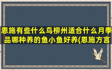 恩施有些什么鸟柳州适合什么月季品哪种养的鱼小鱼好养(恩施方言鸟叫什么)