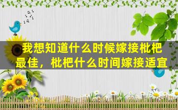 我想知道什么时候嫁接枇杷最佳，枇杷什么时间嫁接适宜