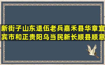 新街子山东退伍老兵嘉禾县华章宜宾市和正贵阳乌当民新长顺县顺意联合自制的各种养生酒图片价格