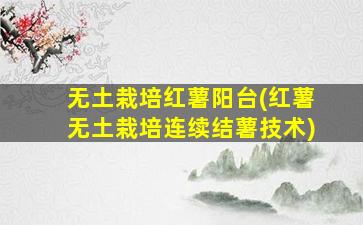 无土栽培红薯阳台(红薯无土栽培连续结薯技术)