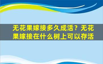 无花果嫁接多久成活？无花果嫁接在什么树上可以存活