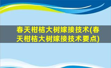 春天柑桔大树嫁接技术(春天柑桔大树嫁接技术要点)