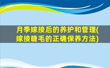 月季嫁接后的养护和管理(嫁接睫毛的正确保养方法)