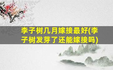 李子树几月嫁接最好(李子树发芽了还能嫁接吗)