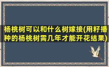 杨桃树可以和什么树嫁接(用籽播种的杨桃树需几年才能开花结果)