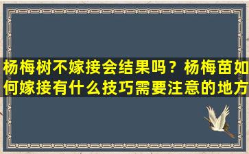 杨梅树不嫁接会结果吗？杨梅苗如何嫁接有什么技巧需要注意的地方