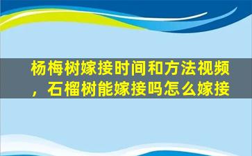 杨梅树嫁接时间和方法视频，石榴树能嫁接吗怎么嫁接