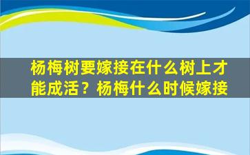 杨梅树要嫁接在什么树上才能成活？杨梅什么时候嫁接