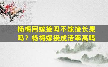 杨梅用嫁接吗不嫁接长果吗？杨梅嫁接成活率高吗