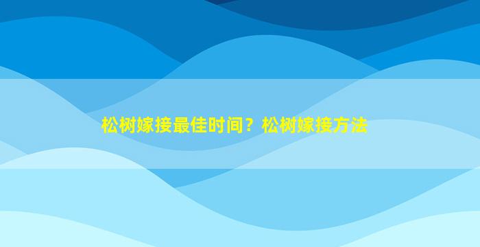 松树嫁接最佳时间？松树嫁接方法