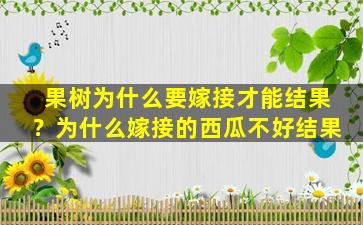 果树为什么要嫁接才能结果？为什么嫁接的西瓜不好结果