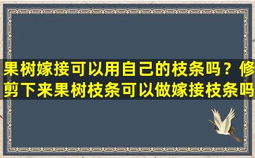 果树嫁接可以用自己的枝条吗？修剪下来果树枝条可以做嫁接枝条吗