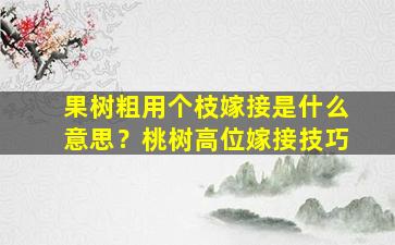 果树粗用个枝嫁接是什么意思？桃树高位嫁接技巧