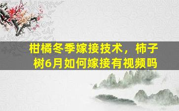 柑橘冬季嫁接技术，柿子树6月如何嫁接有视频吗