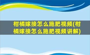 柑橘嫁接怎么施肥视频(柑橘嫁接怎么施肥视频讲解)