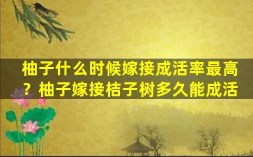 柚子什么时候嫁接成活率最高？柚子嫁接桔子树多久能成活