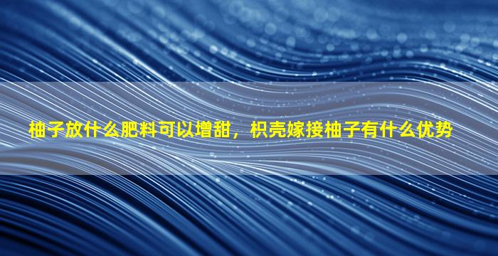 柚子放什么肥料可以增甜，枳壳嫁接柚子有什么优势