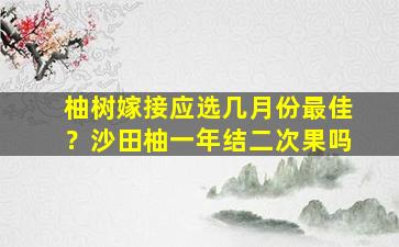 柚树嫁接应选几月份最佳？沙田柚一年结二次果吗