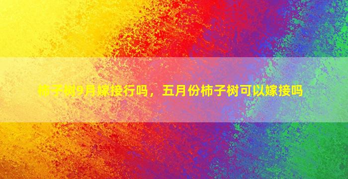 柿子树9月嫁接行吗，五月份柿子树可以嫁接吗