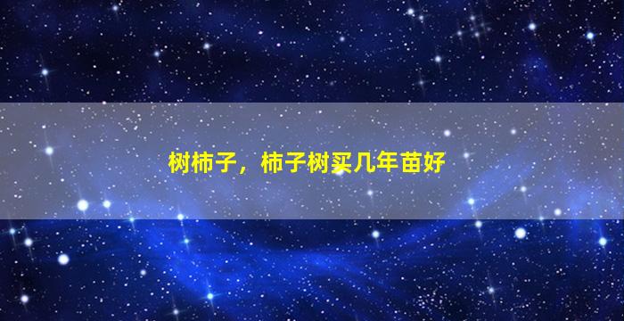 树柿子，柿子树买几年苗好