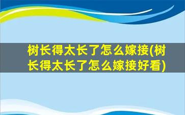 树长得太长了怎么嫁接(树长得太长了怎么嫁接好看)