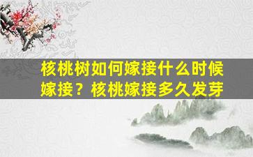 核桃树如何嫁接什么时候嫁接？核桃嫁接多久发芽