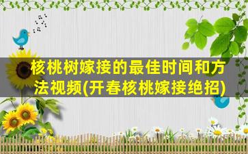 核桃树嫁接的最佳时间和方法视频(开春核桃嫁接绝招)