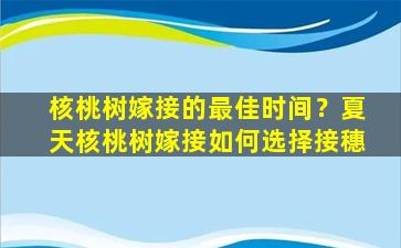 核桃树嫁接的最佳时间？夏天核桃树嫁接如何选择接穗