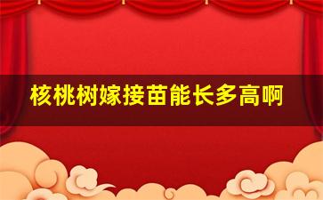 核桃树嫁接苗能长多高啊