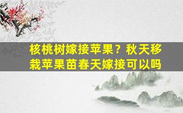 核桃树嫁接苹果？秋天移栽苹果苗春天嫁接可以吗