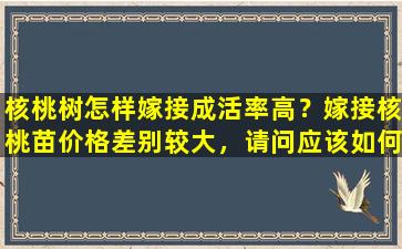 核桃树怎样嫁接成活率高？嫁接核桃苗价格差别较大，请问应该如何选择