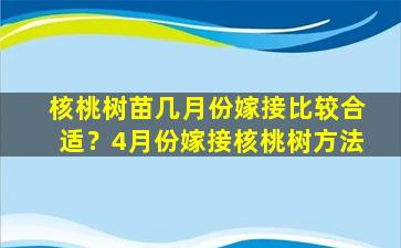 核桃树苗几月份嫁接比较合适？4月份嫁接核桃树方法