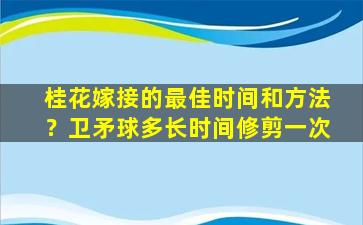 桂花嫁接的最佳时间和方法？卫矛球多长时间修剪一次