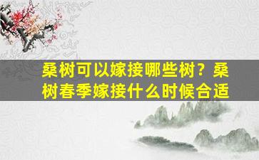 桑树可以嫁接哪些树？桑树春季嫁接什么时候合适