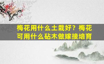 梅花用什么土栽好？梅花可用什么砧木做嫁接培育