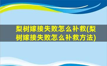 梨树嫁接失败怎么补救(梨树嫁接失败怎么补救方法)