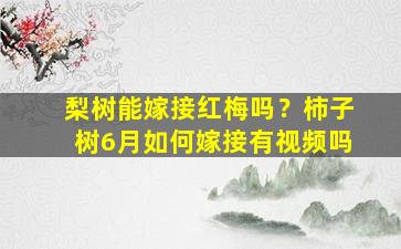 梨树能嫁接红梅吗？柿子树6月如何嫁接有视频吗