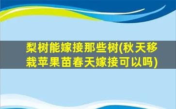 梨树能嫁接那些树(秋天移栽苹果苗春天嫁接可以吗)